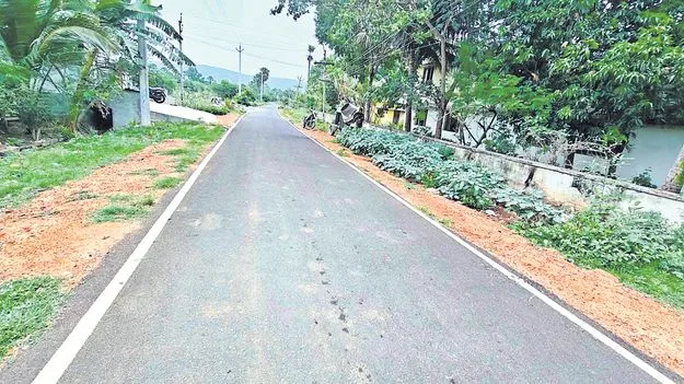 గ్రామీణ రహదారులకు శోభ