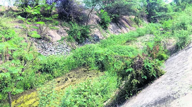 CANAL: కలగానే ఆధునికీకరణ