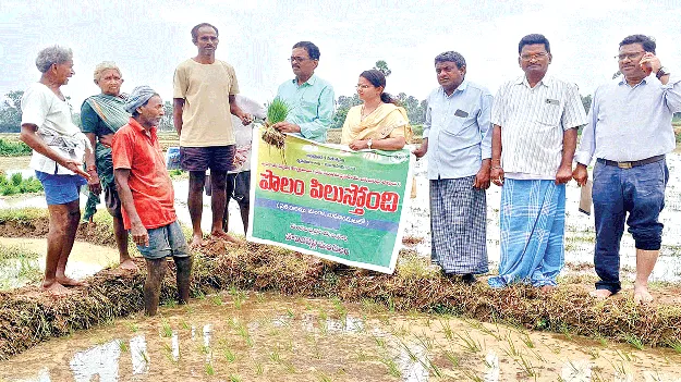 ప్రత్యామ్నాయ పంటలపై దృష్టిసారించండి