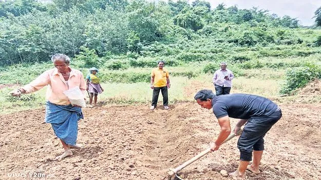 ఆర్గానిక్‌ జోన్‌గా గిరిజన ప్రాంతం