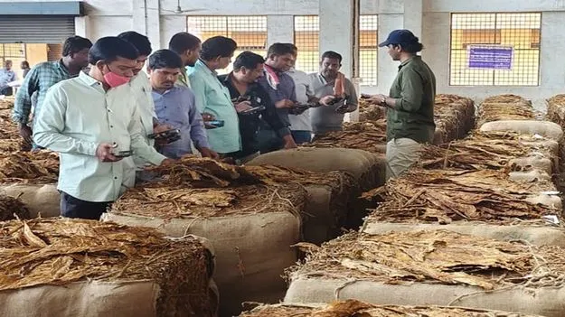 రైతుల పాలిట పగాకు