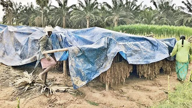 ద్రోణి ప్రభావం..  జిల్లాలో వర్షాలు