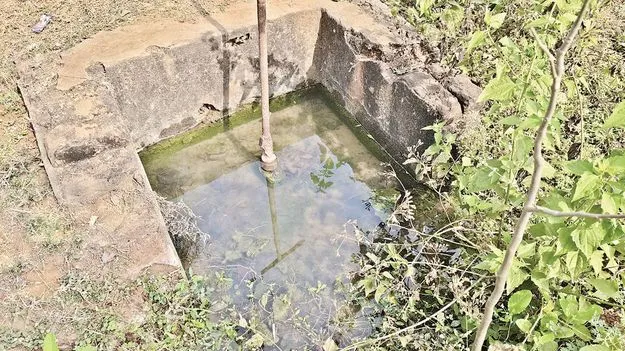 విజృంభిస్తున్న డయేరియా