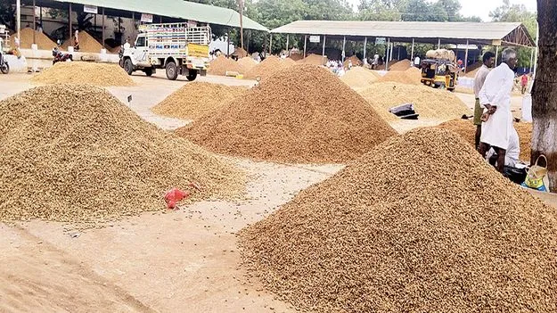 వేరుశనగ క్వింటా రూ.9,200 