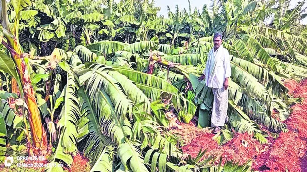 RAIN: కష్టం.. నష్టం