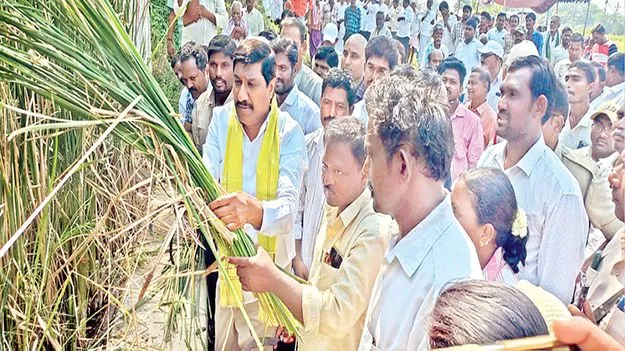 భూగర్భ జలాలు పెంచుతాం 