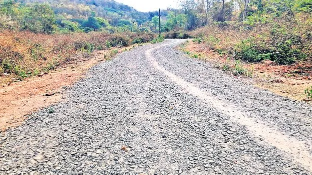 ఎప్పటికి దారికొచ్చేనో?