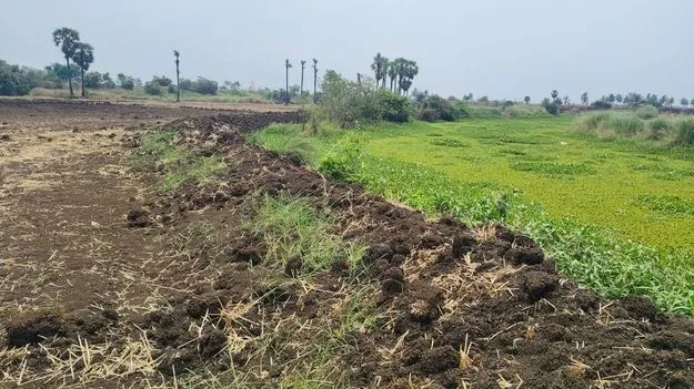 ఎర్రకాలువ భూములు కబ్జా