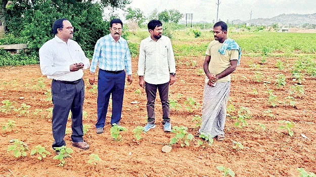 పంటల సాగులో మెలకువలు పాటించాలి