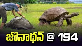జొనాథన్‌ @ 194