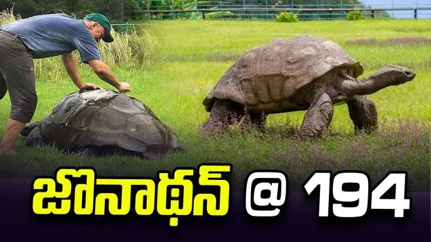 జొనాథన్‌ @ 194