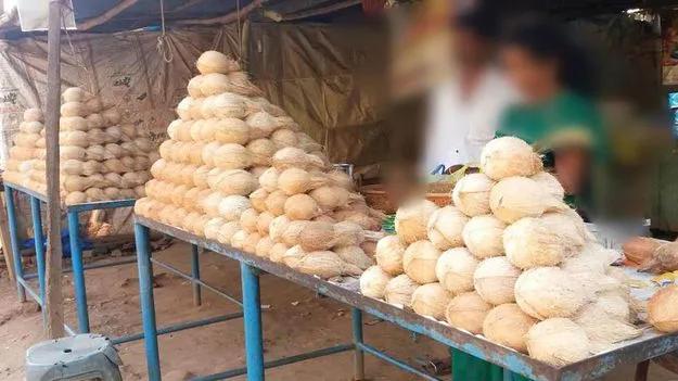 కొబ్బరిధరలు పైపైకి..