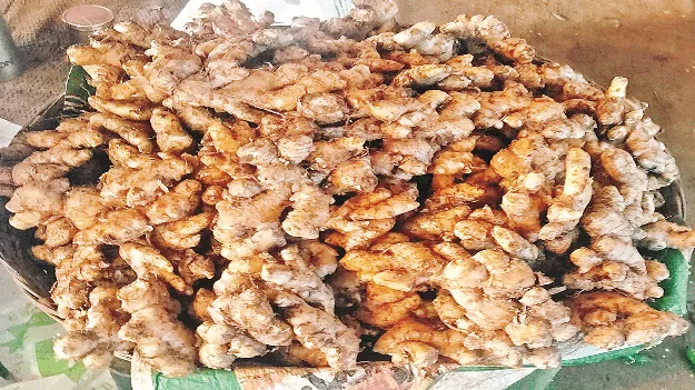 దిగొస్తున్న అల్లం 