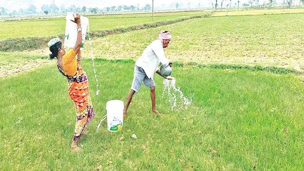 వానల్లేవ్‌!