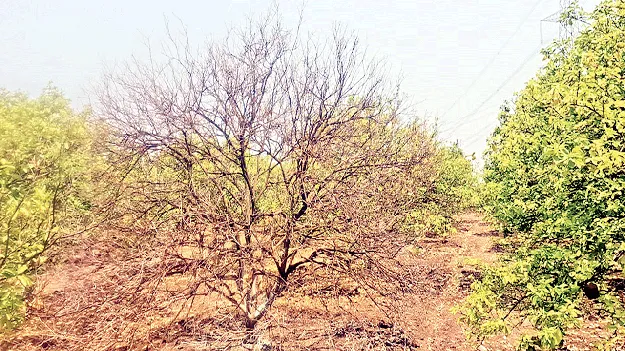 చితికిపోతున్నారు..! 