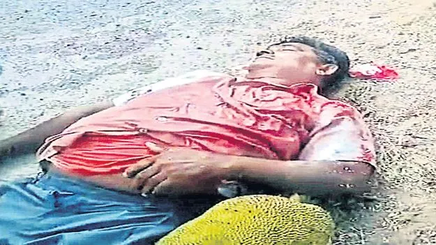 పాడేరు ఘాట్‌లో వ్యాన్‌ బోల్తా 