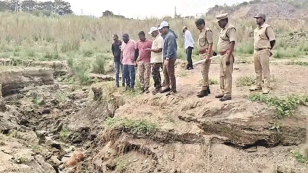 అడవిలోనే పెద్దపులి 