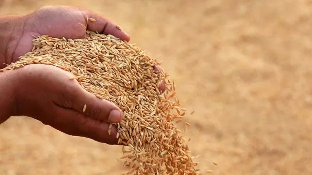 పంట కొనుగోళ్ల కష్టం..కొనుగోలు కేంద్రం ఇన్‌చార్జి ఆత్మహత్యాయత్నం!