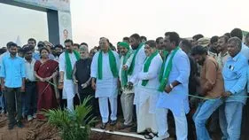 ఈ ఏడాది మరో 5 ఆయిల్‌ఫామ్‌ ఫ్యాక్టరీలు