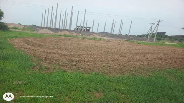 Peddapalli: ప్రభుత్వ భూమి కబ్జా 
