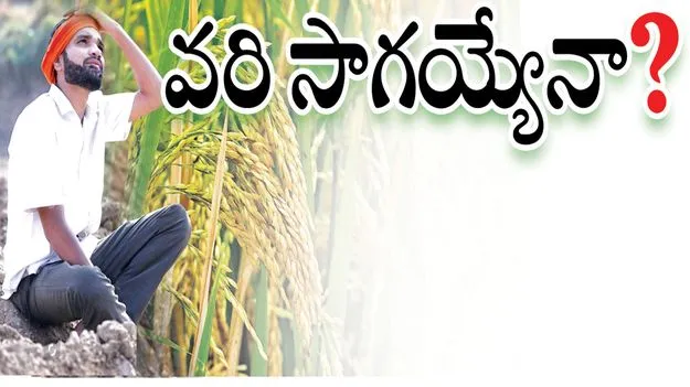  Mancherial:  వరి సాగయ్యేనా?