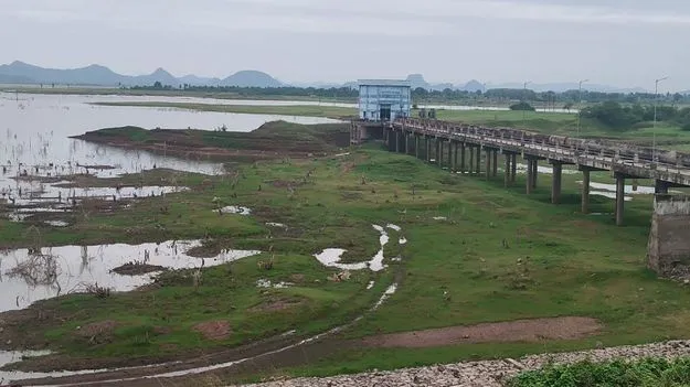 Mancherial:  ఆశగా.. ఆకాశం వైపు