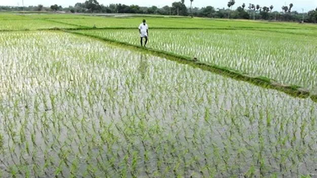 రైతుల ఆరోగ్య సమస్యలపై అధ్యయనానికి ‘తొలకరి’