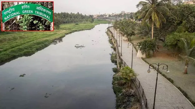 ‘మూసీ’పై పిటిషన్‌ను కొట్టేసిన ఎన్జీటీ