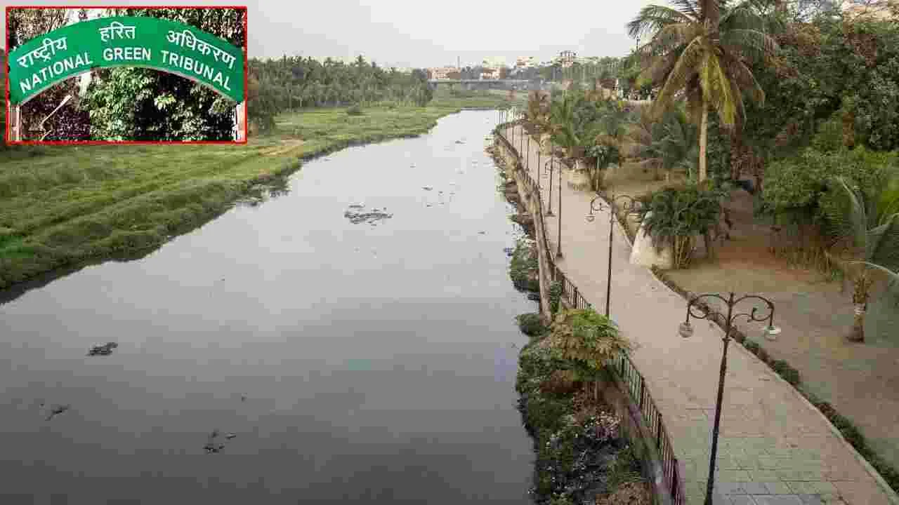 ‘మూసీ’పై పిటిషన్‌ను కొట్టేసిన ఎన్జీటీ