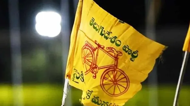 18 నుంచి మినీ మహానాడులు