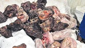 హోటళ్లకు కుళ్లిన తలకాయ మాంసం!