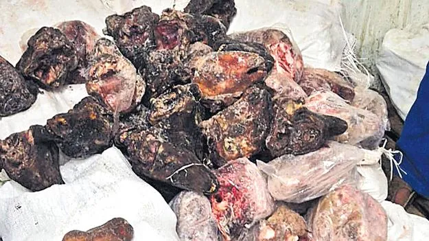 హోటళ్లకు కుళ్లిన తలకాయ మాంసం!