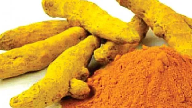 మెరిసిన పచ్చ బంగారం