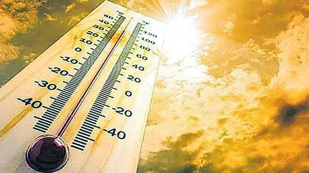 వడదెబ్బతో నలుగురి మృతి