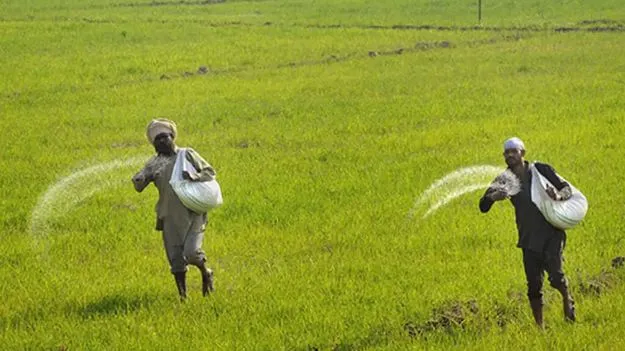 ఎరువుల ఉత్పత్తిలో 25 శాతం మేర పతనం