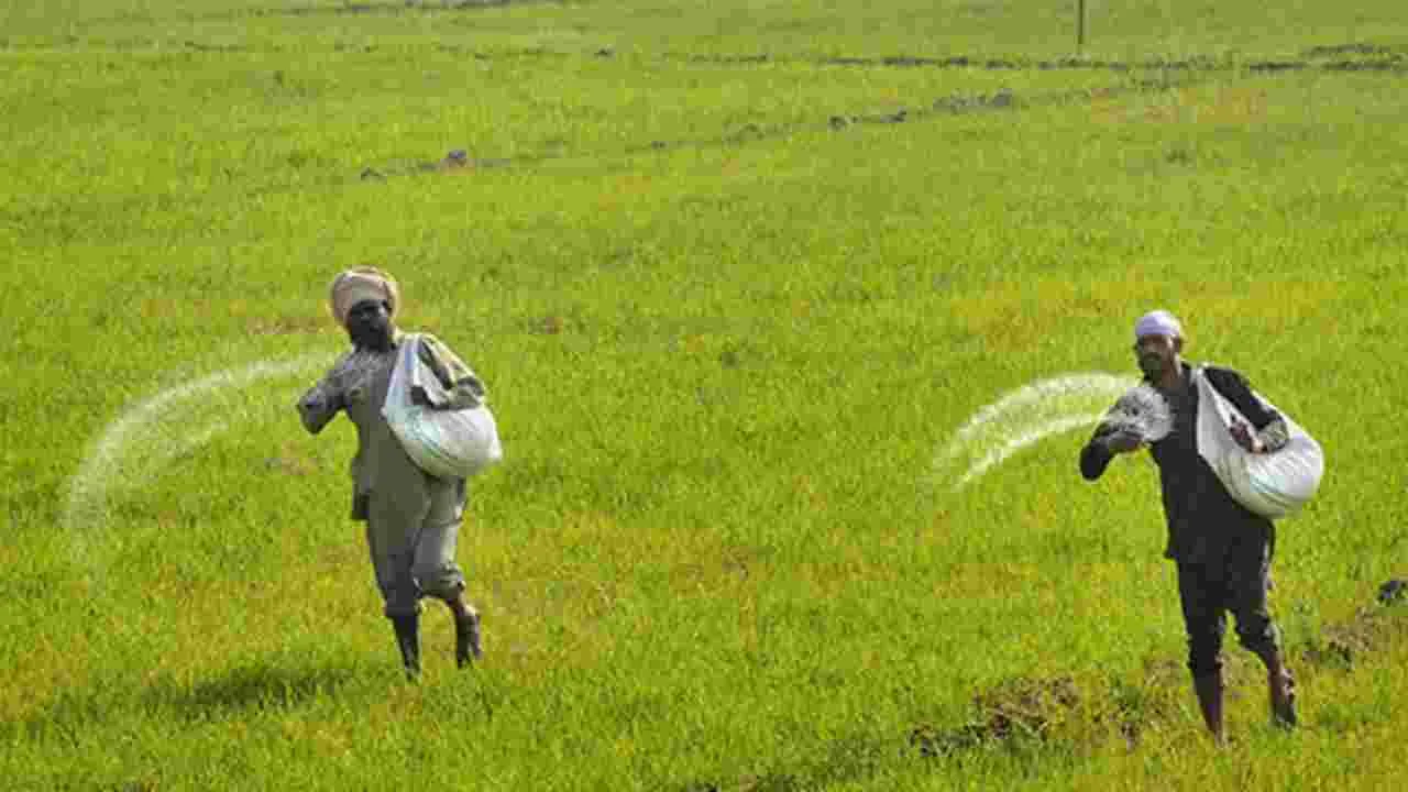 ఎరువుల ఉత్పత్తిలో 25 శాతం మేర పతనం