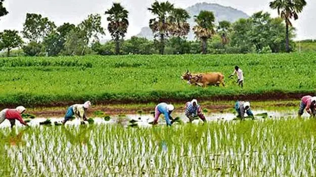 అప్పు కింద రైతు భరోసా, వృద్ధాప్య పింఛను