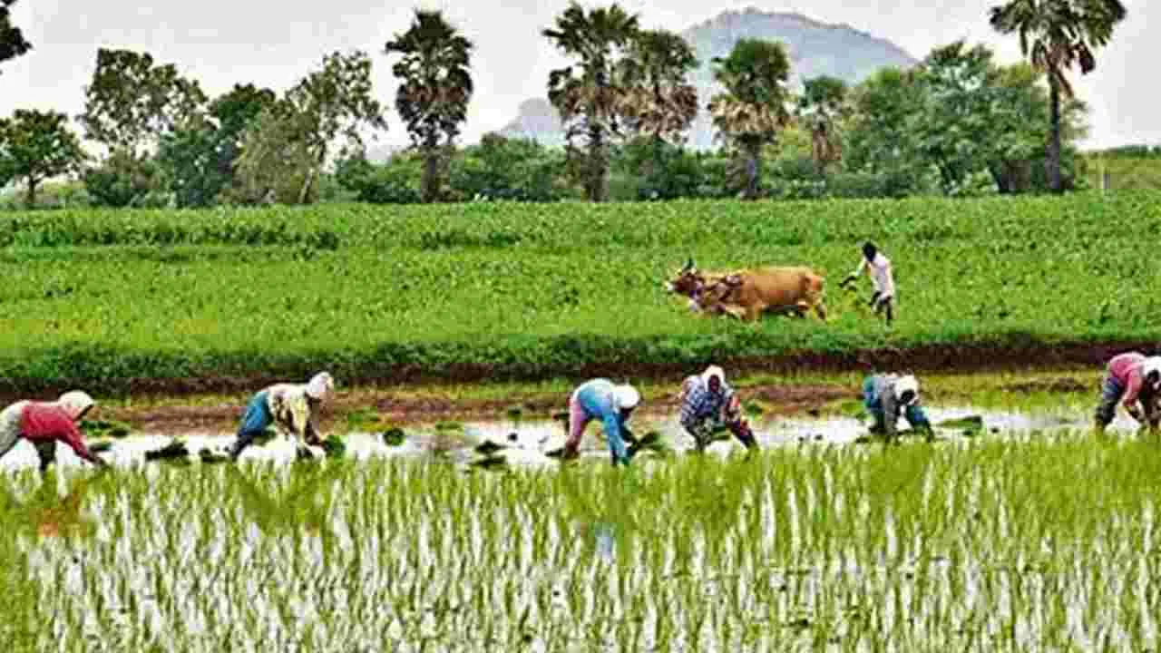 అప్పు కింద రైతు భరోసా, వృద్ధాప్య పింఛను