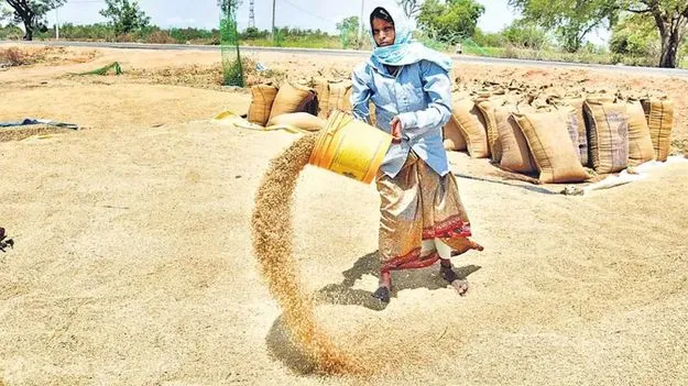 తగ్గిన యాసంగి ధాన్యం సేకరణ లక్ష్యం!