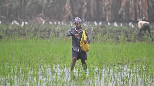యూరియా, డీఏపీ అమ్మకాలపై ఆంక్షల్లేవు