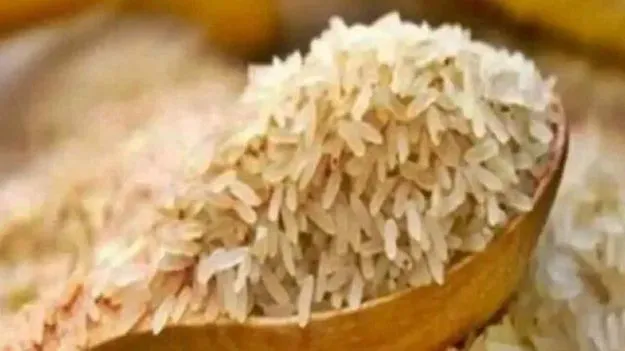 యాసంగి ముడి బియ్యంపై టెస్ట్‌ మిల్లింగ్‌