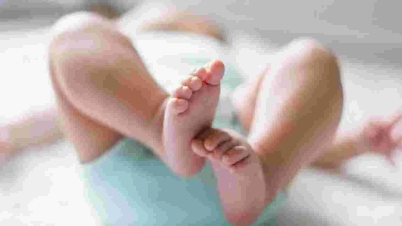 బాబుకు 5 లక్షలు.. పాపకు 3 లక్షలు