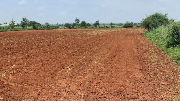 రూ.1000 కోట్ల భూకుంభకోణం..శంషాబాద్‌ తహశీల్దార్‌పై చర్యలు