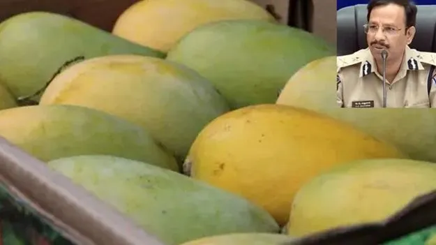 రసాయనాలతో మాగబెడుతున్న మామిడి పండ్లతో జాగ్రత్త