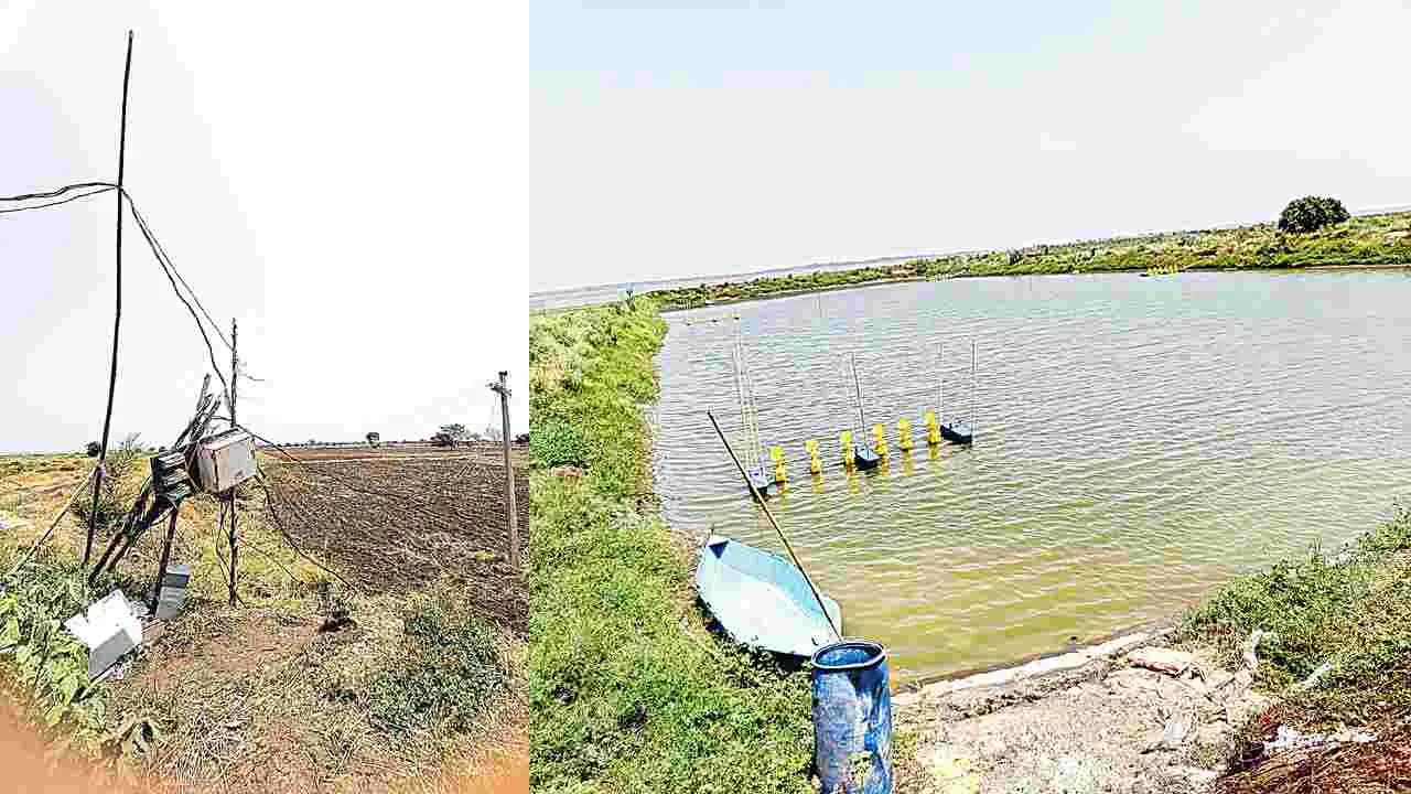జీవ జలమా.. చేదు విషమా?