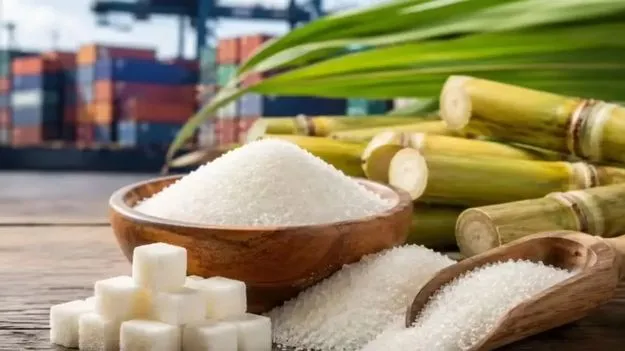 చక్కెర ఎగుమతులపై నిషేధం 