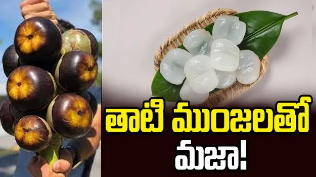 తాటి ముంజలతో మజా!