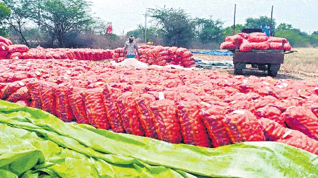 మొక్కజొన్న రైతుకు   ‘మద్దతు’ ఏదీ