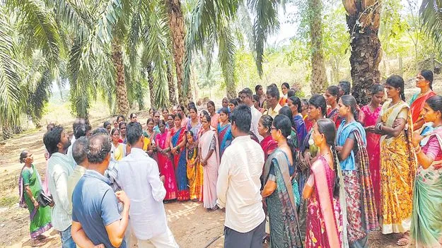 ఆయిల్‌పామ్‌లో మనమే టాప్‌