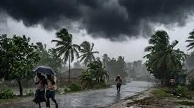 మేలో వర్షాలు